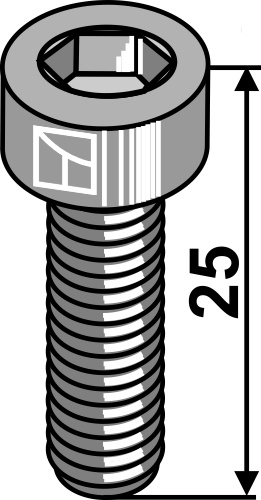 Hexagon socket bolt M12x1,75x25