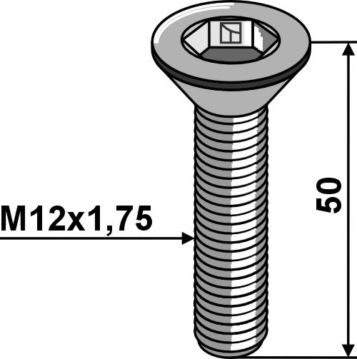 Hexagon socket screw - Galvanized